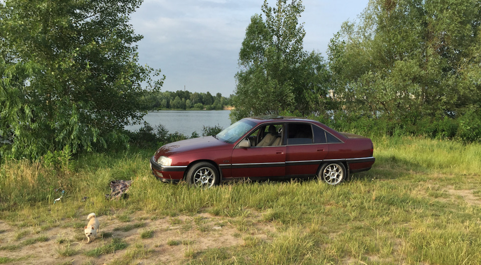 Фото в бортжурнале Opel Omega A