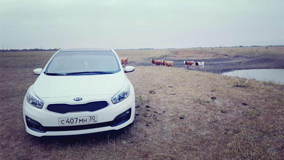 Фото в бортжурнале KIA Ceed (2G)