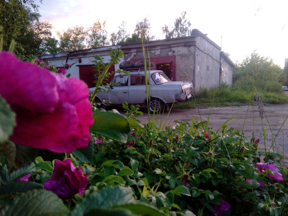 Фото в бортжурнале ИЖ Москвич 412