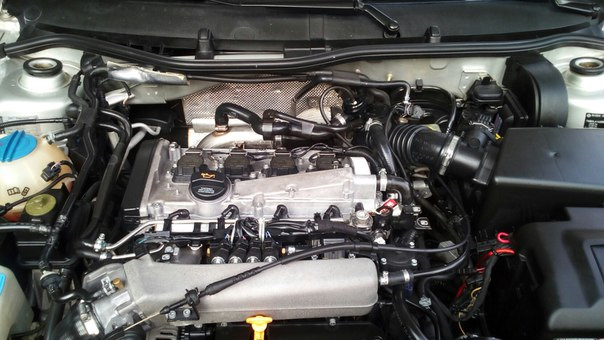 Фото в бортжурнале Skoda Octavia RS A4 Mk1