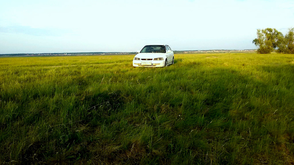 Honda Domani