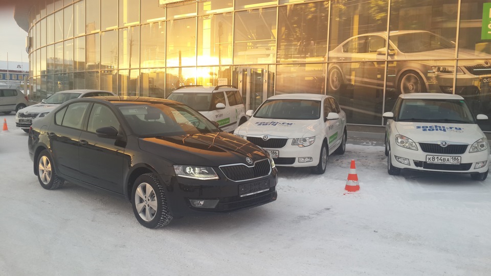 Фото в бортжурнале Skoda Octavia A7 Mk3