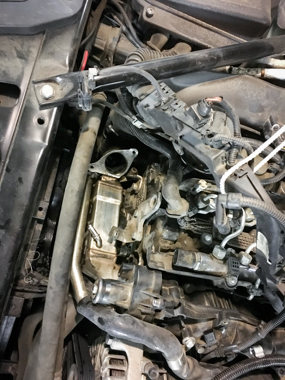 Фото в бортжурнале BMW 5 series Gran Turismo (F07)