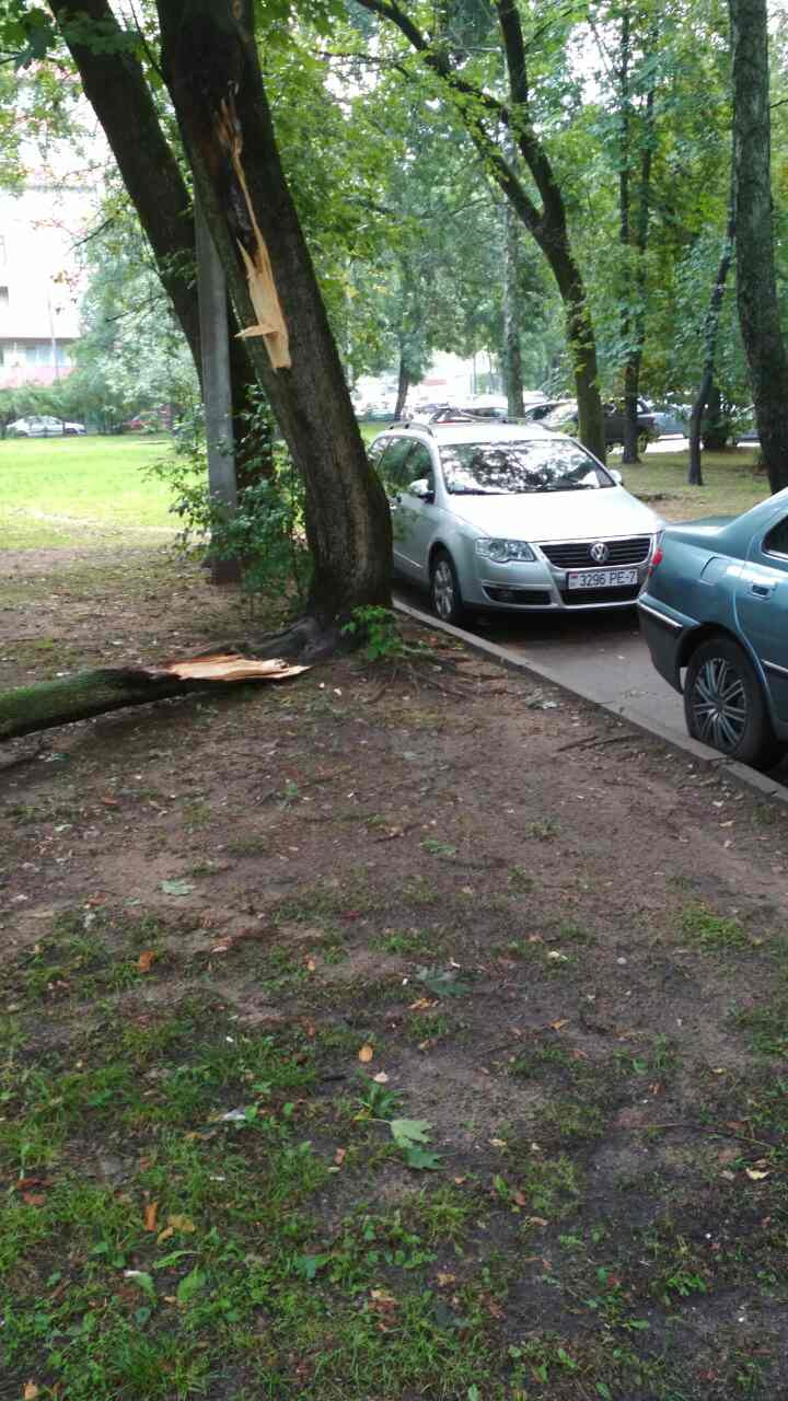 Фото в бортжурнале Volkswagen Passat Variant (B6)