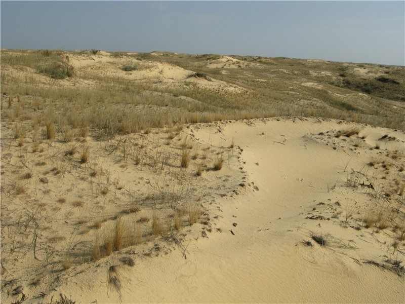 Фото в бортжурнале УАЗ 469