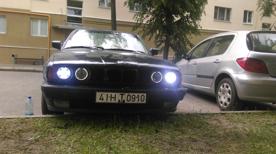 Фото в бортжурнале BMW 5 series (E34)
