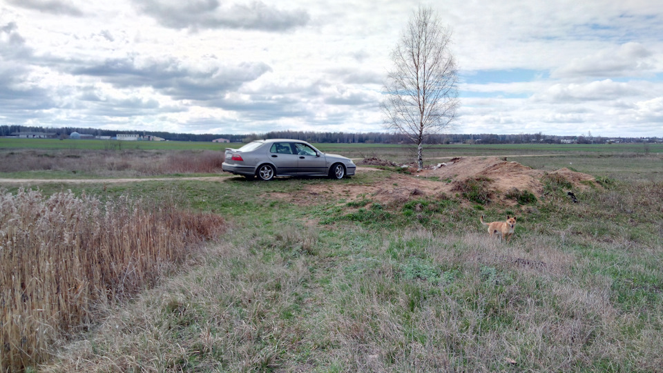 Фото в бортжурнале Saab 9-5 (1G)
