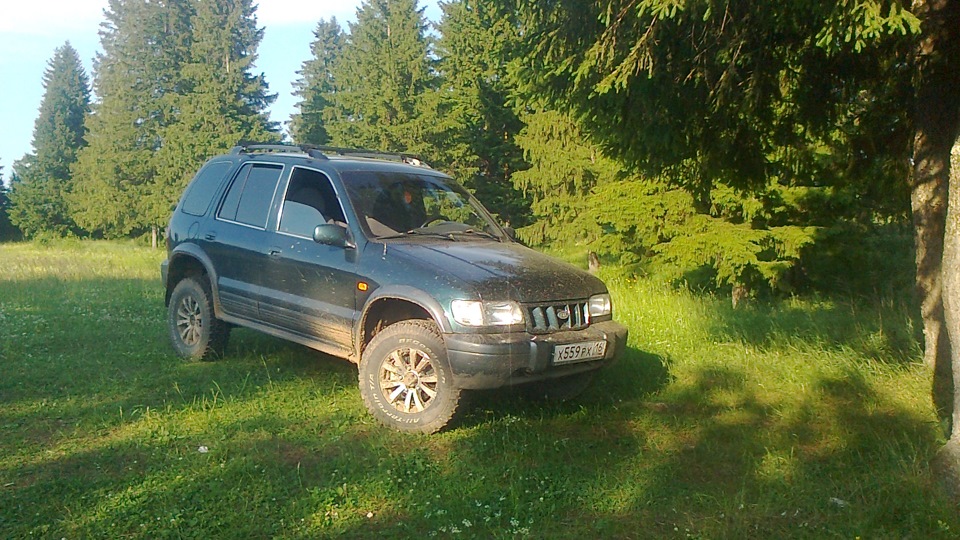 KIA Sportage лягушка