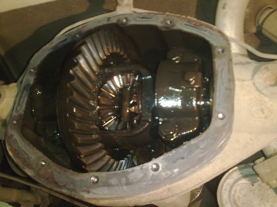 Фото в бортжурнале ГАЗ 3110