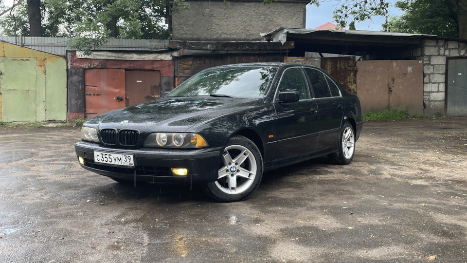 BMW 5 series Черепаха