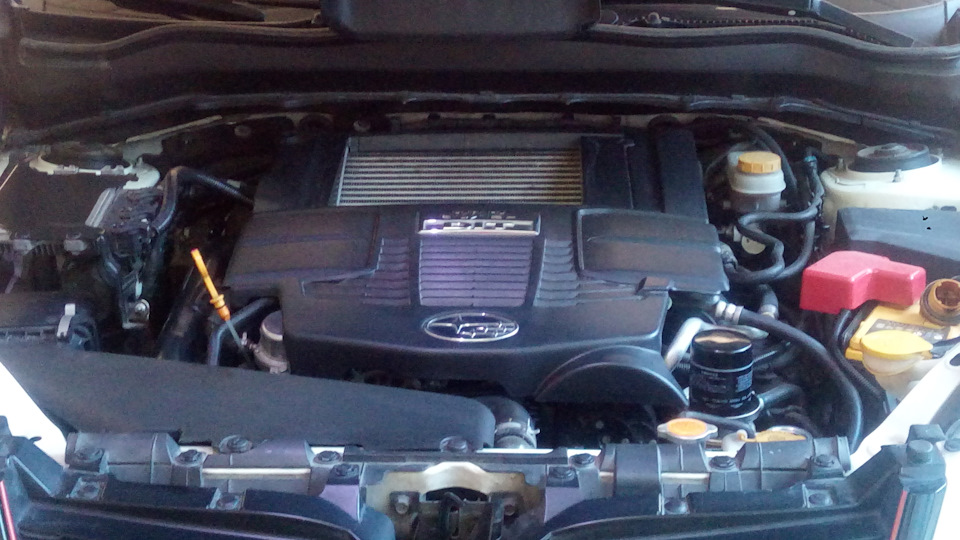 Фото в бортжурнале Subaru Forester (SJ)