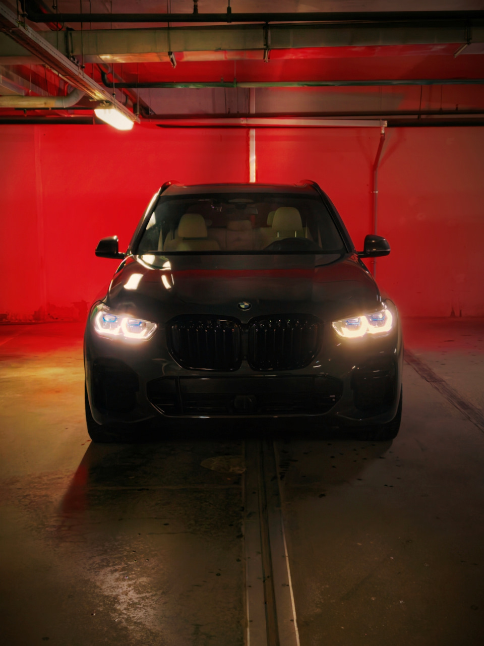 Фото в бортжурнале BMW X5 (G05)