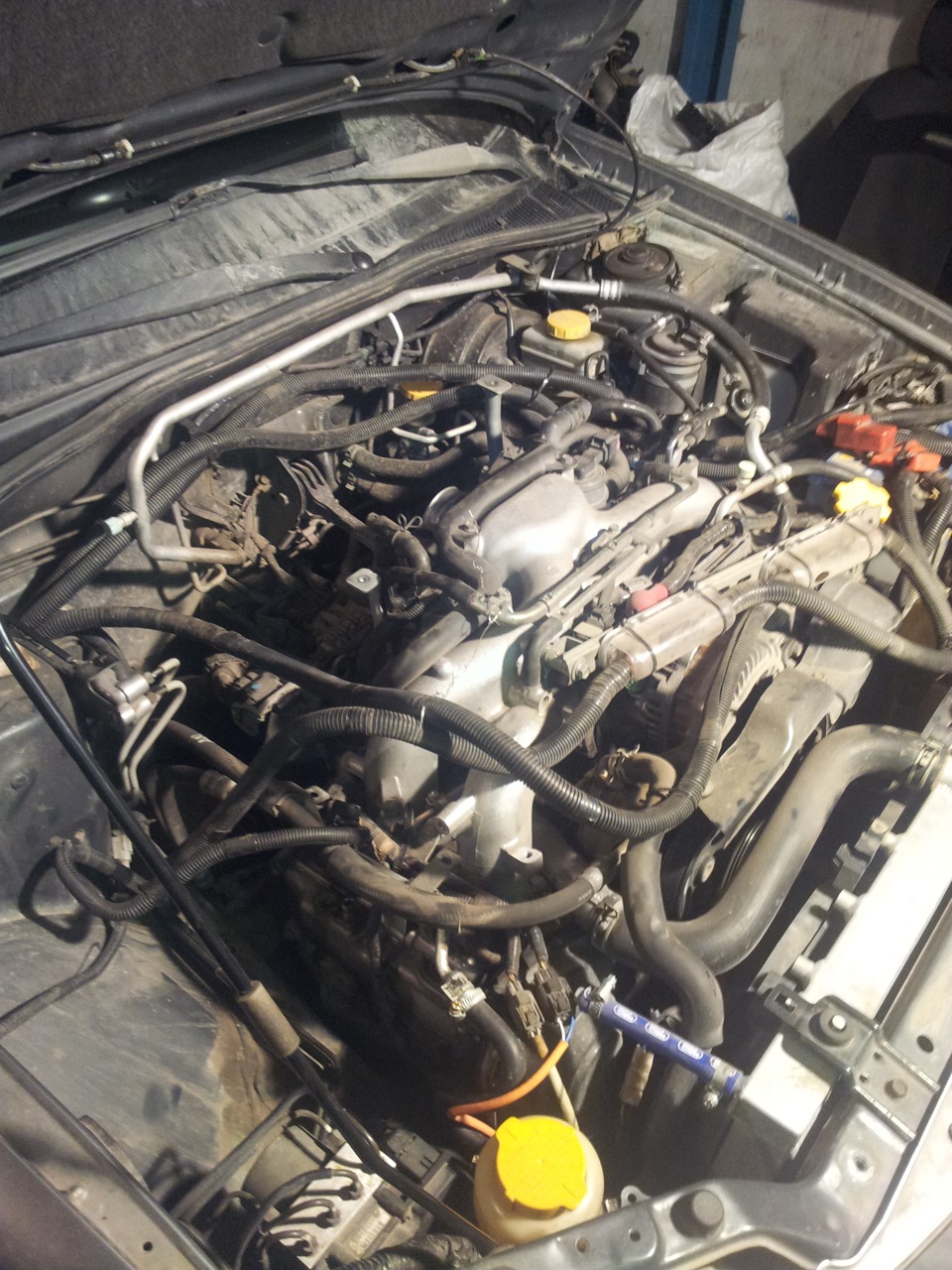 Фото в бортжурнале Subaru Impreza (GD/GG)
