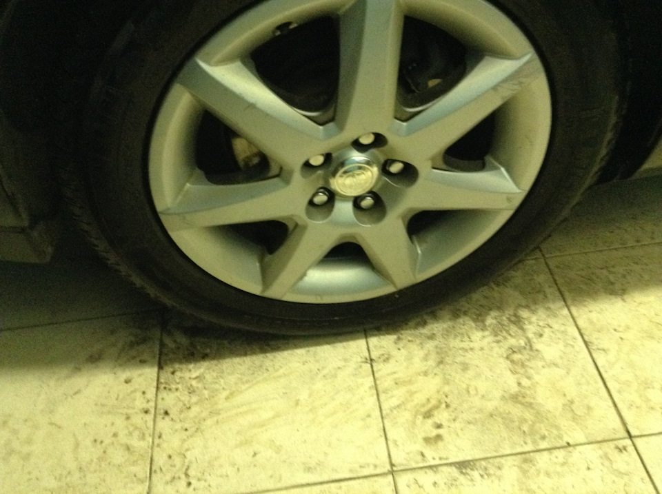 Все колпачки на месте — Toyota Prius (20)