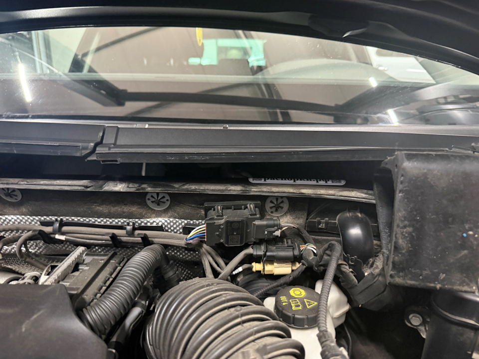 Установлена — Volkswagen Passat Variant (B8)