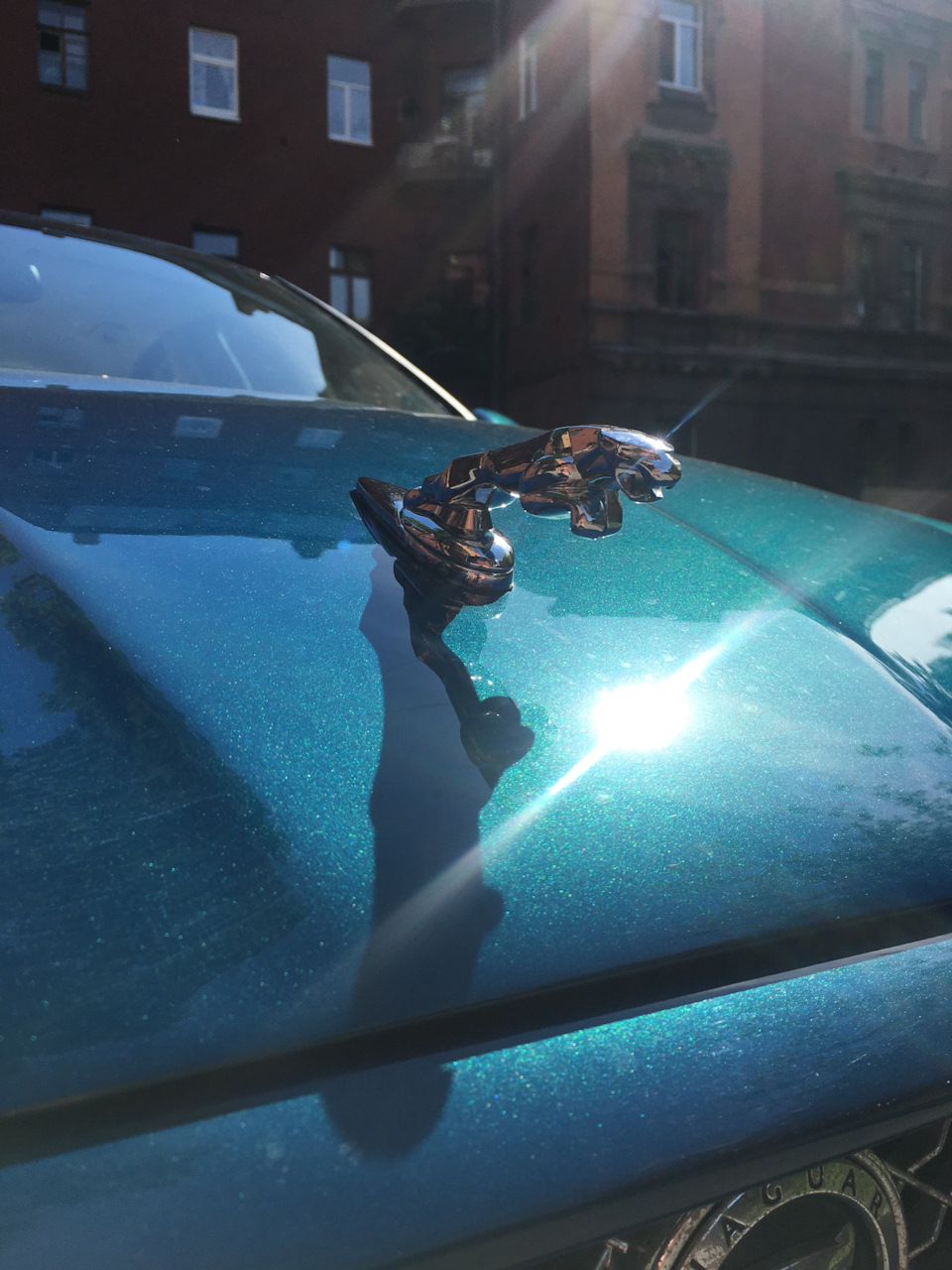 Фото в бортжурнале Jaguar X-Type