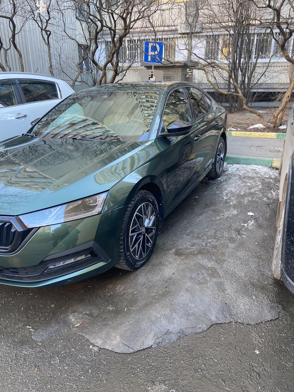 Фото в бортжурнале Skoda Octavia A8 Mk4