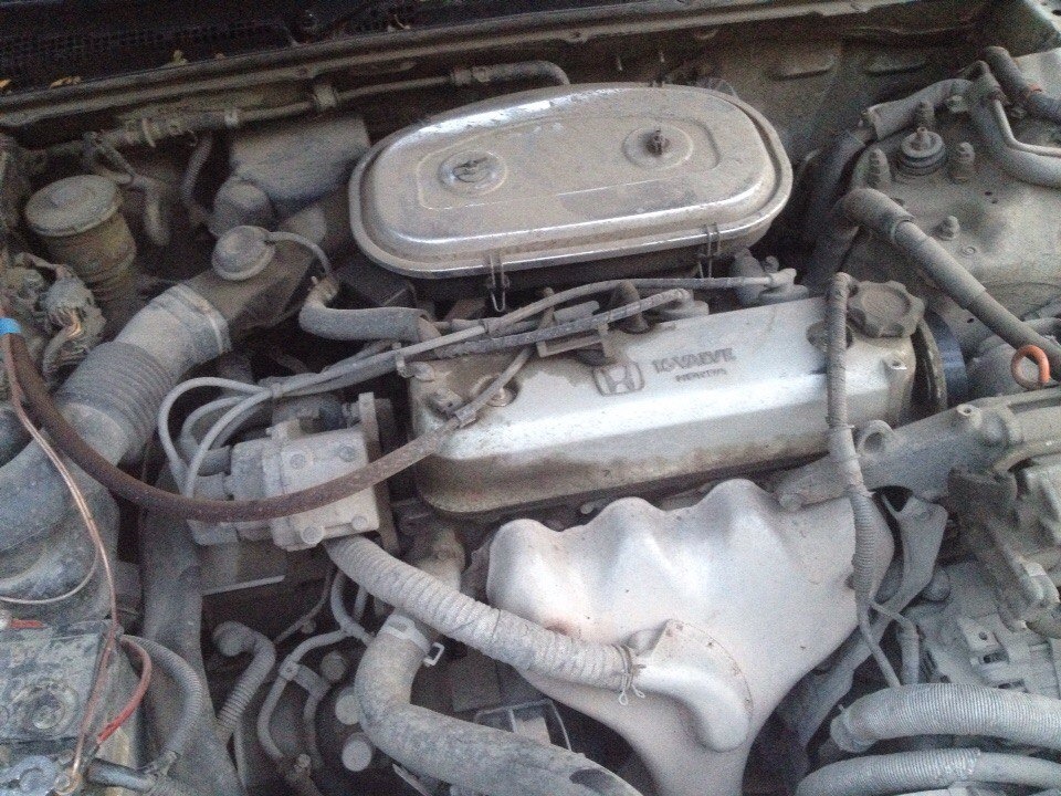 Фото в бортжурнале Honda Ascot (1G)
