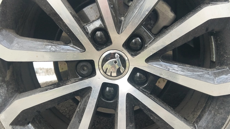 Фото в бортжурнале Skoda Octavia A7 Mk3