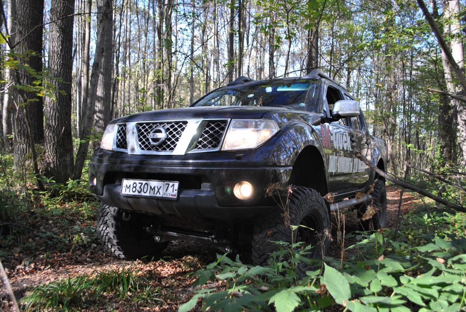 Фото в бортжурнале Nissan Navara (2G)