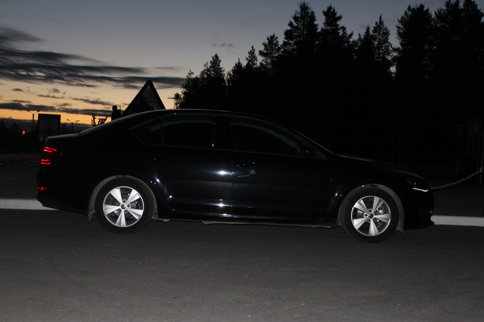 Фото в бортжурнале Skoda Octavia A7 Mk3