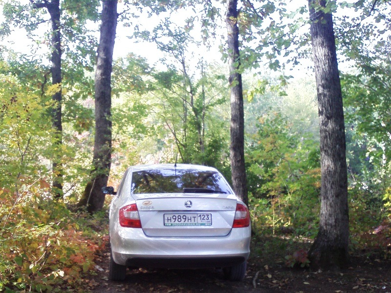 Фото в бортжурнале Skoda Rapid (1G)