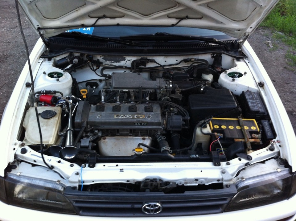 Фото в бортжурнале Toyota Corolla (100)