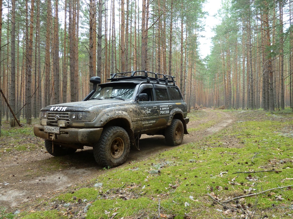 грибное место — Toyota Land Cruiser 80