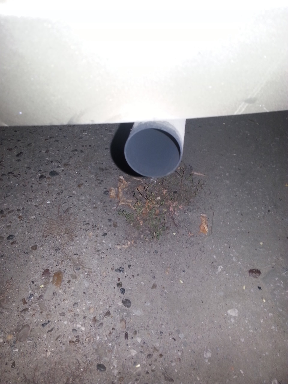 Фото в бортжурнале Nissan Almera II (N16)