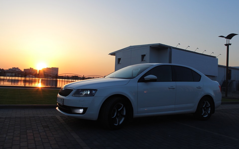 Жена не в курсе, что я с ней встречал закат! )) — Skoda Octavia A7 Mk3