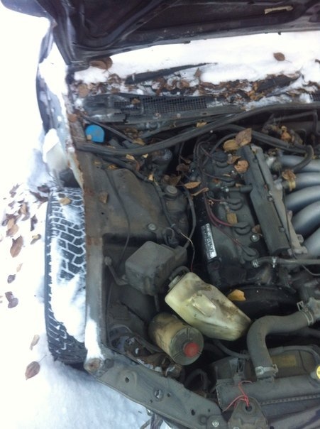 Фото в бортжурнале Honda Inspire (CB5/CC2/CC3)