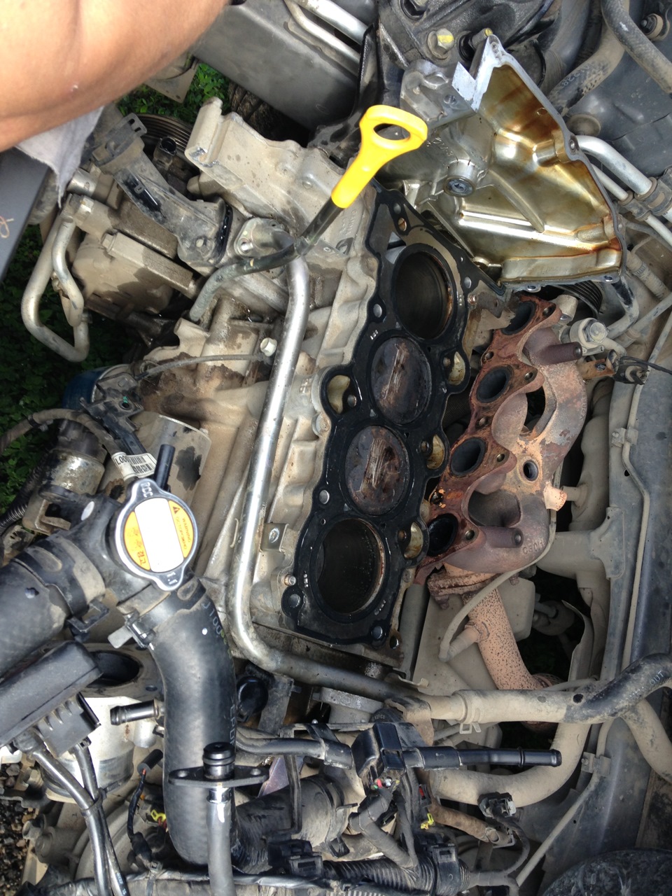 Фото в бортжурнале Hyundai Solaris (1G)