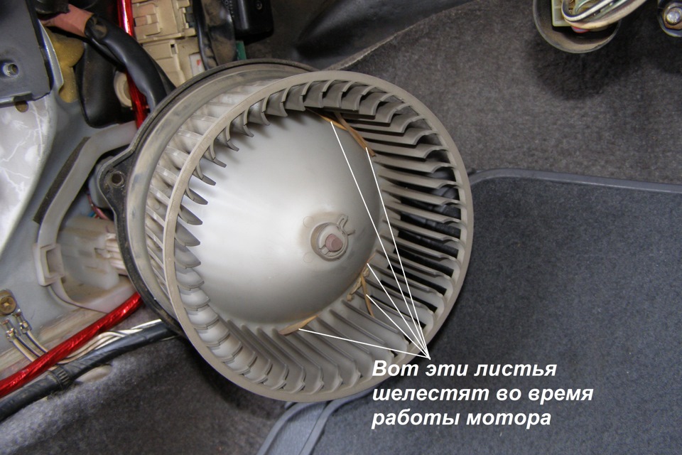 Извлеченный вентилятор с пылью и мусором внутри — Toyota Corolla (110)