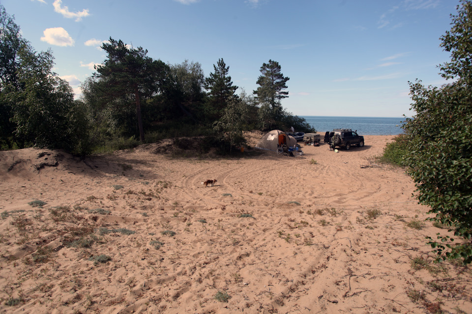 Фото в бортжурнале Toyota Land Cruiser 80