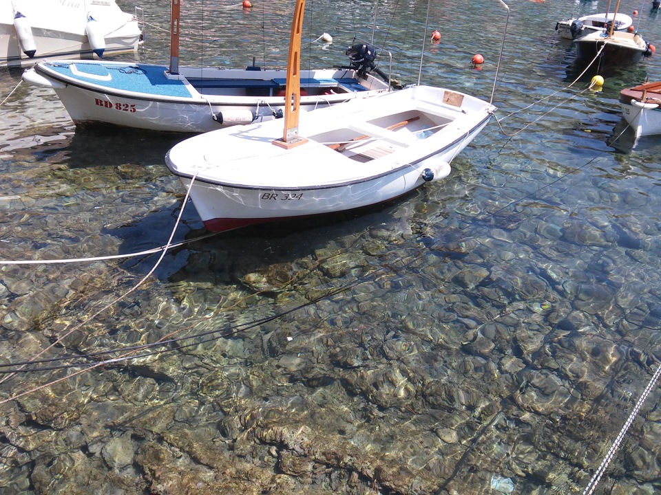 Водичка в гавани Петроваца! — Renault Megane II. Запчасти на фото: BD825