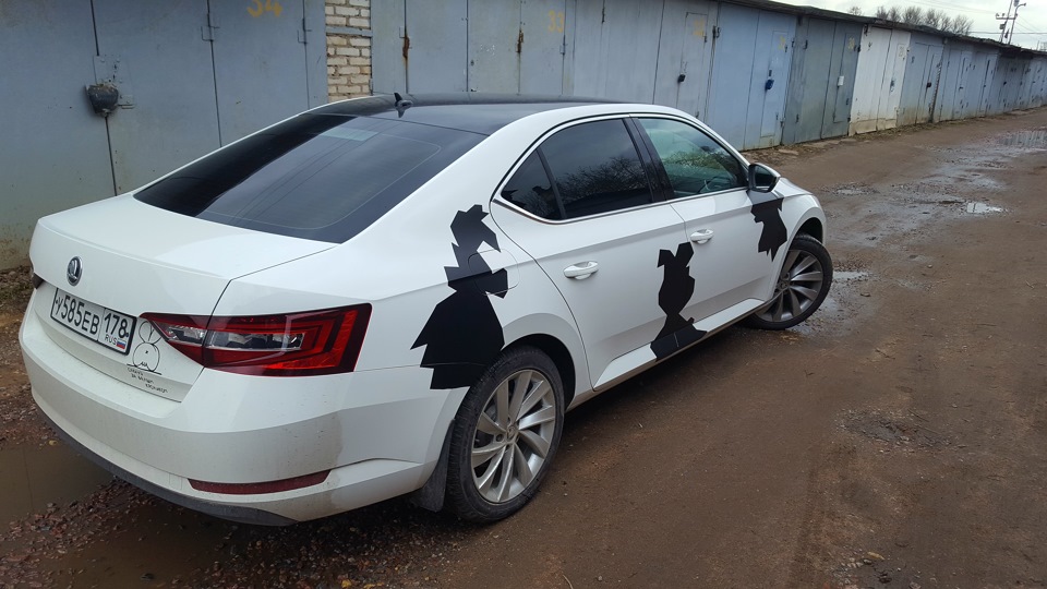 Фото в бортжурнале Skoda Superb Mk3