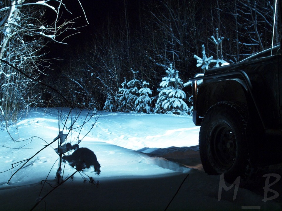 Фото в бортжурнале Land Rover Defender (L315/L316)
