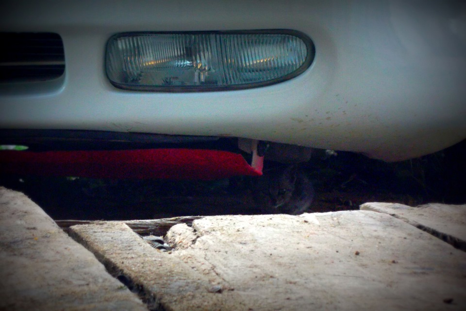 котэ, помогал — Mazda 626 IV (GE)