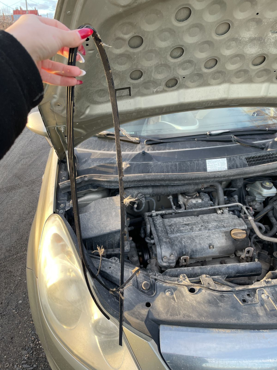 Фото в бортжурнале Opel Corsa D