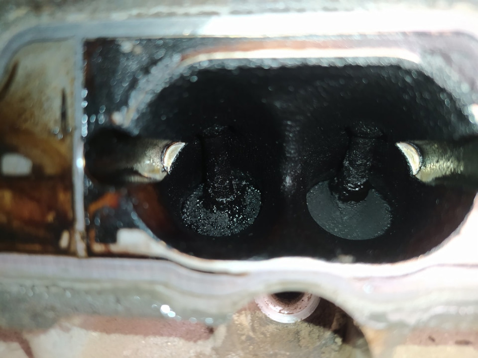 Фото в бортжурнале Volkswagen Passat B7