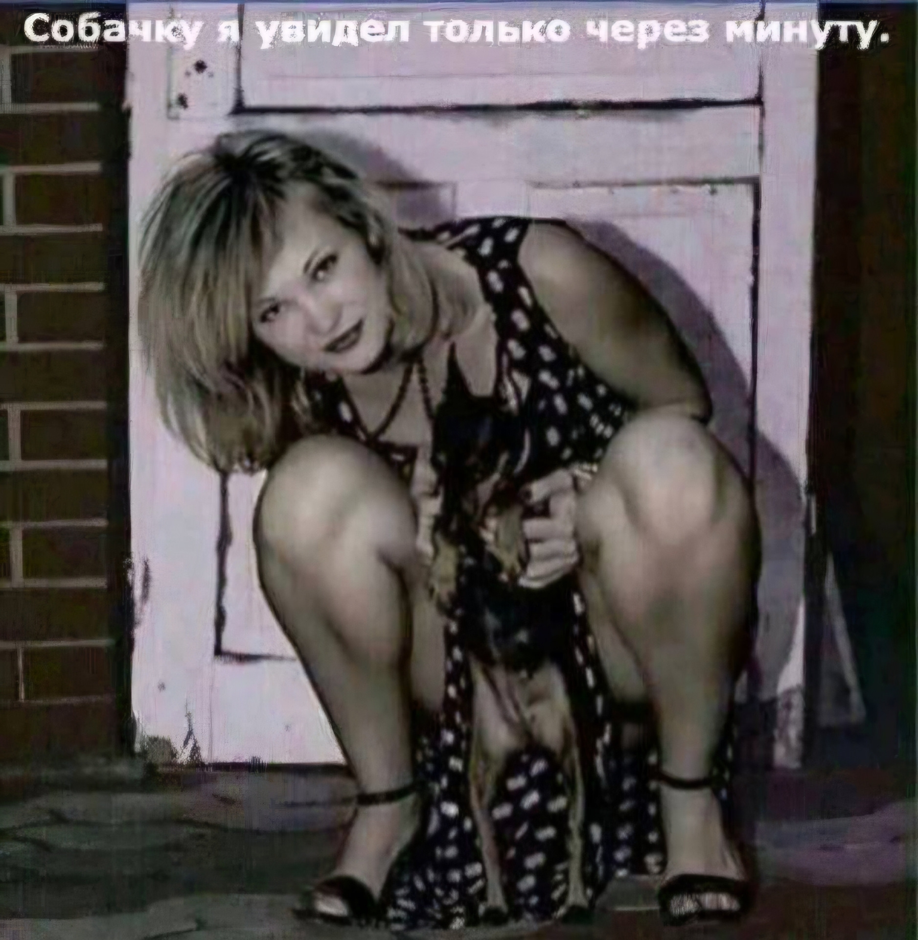 Дама с собачкой снимает трусики Дама с собачкой снимает трусики