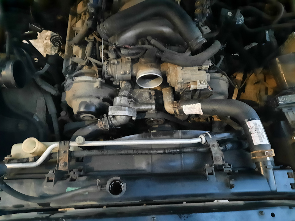 Фото в бортжурнале Toyota Land Cruiser 100