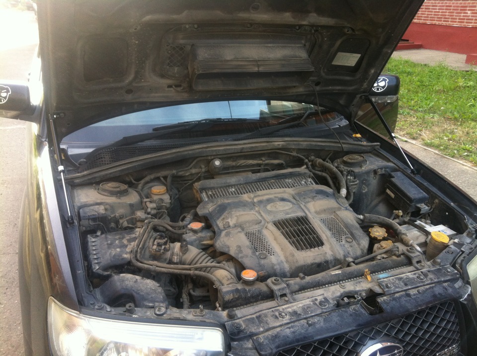 Фото в бортжурнале Subaru Forester (SG)