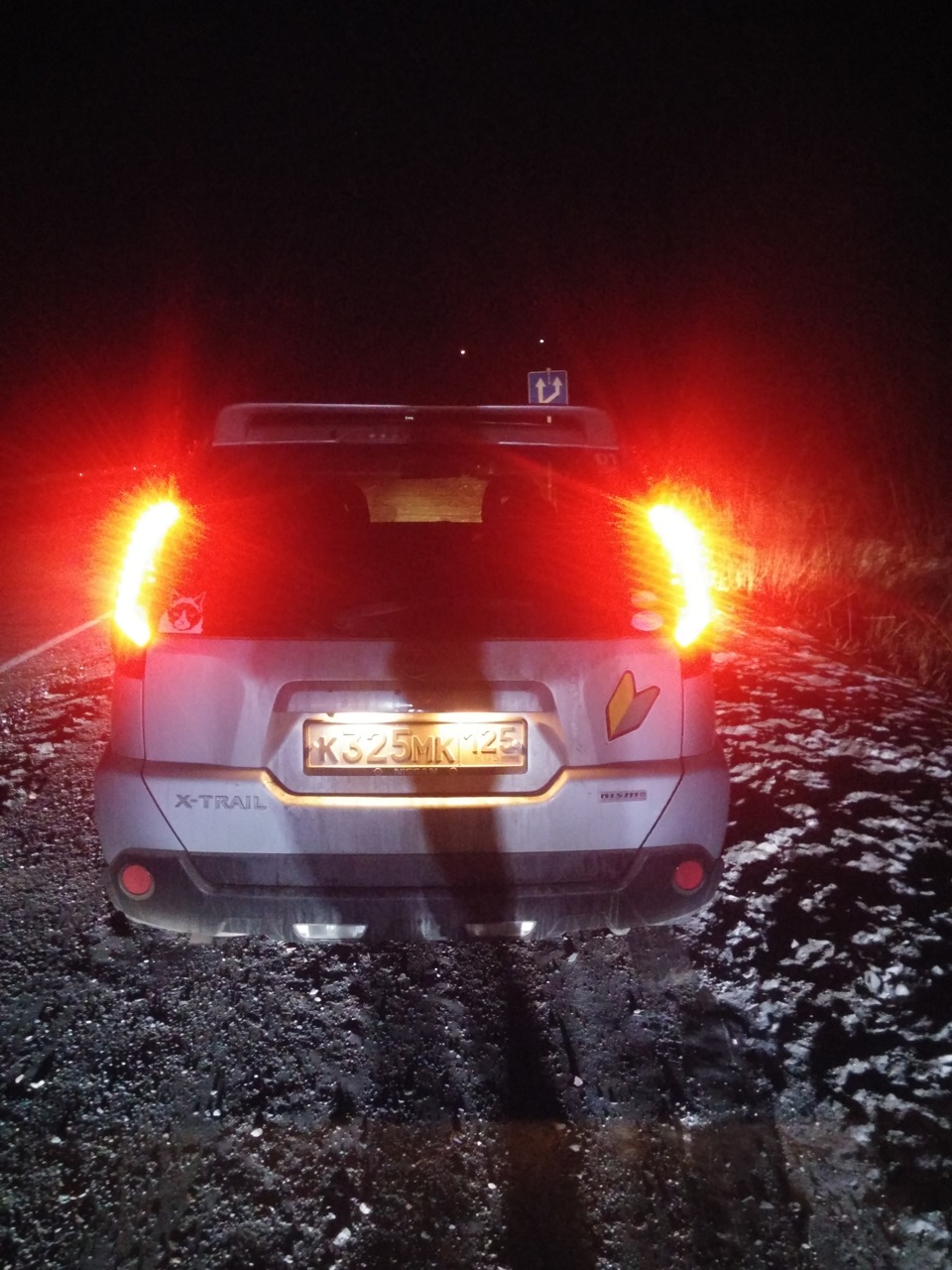Фото в бортжурнале Nissan X-Trail II (t31)