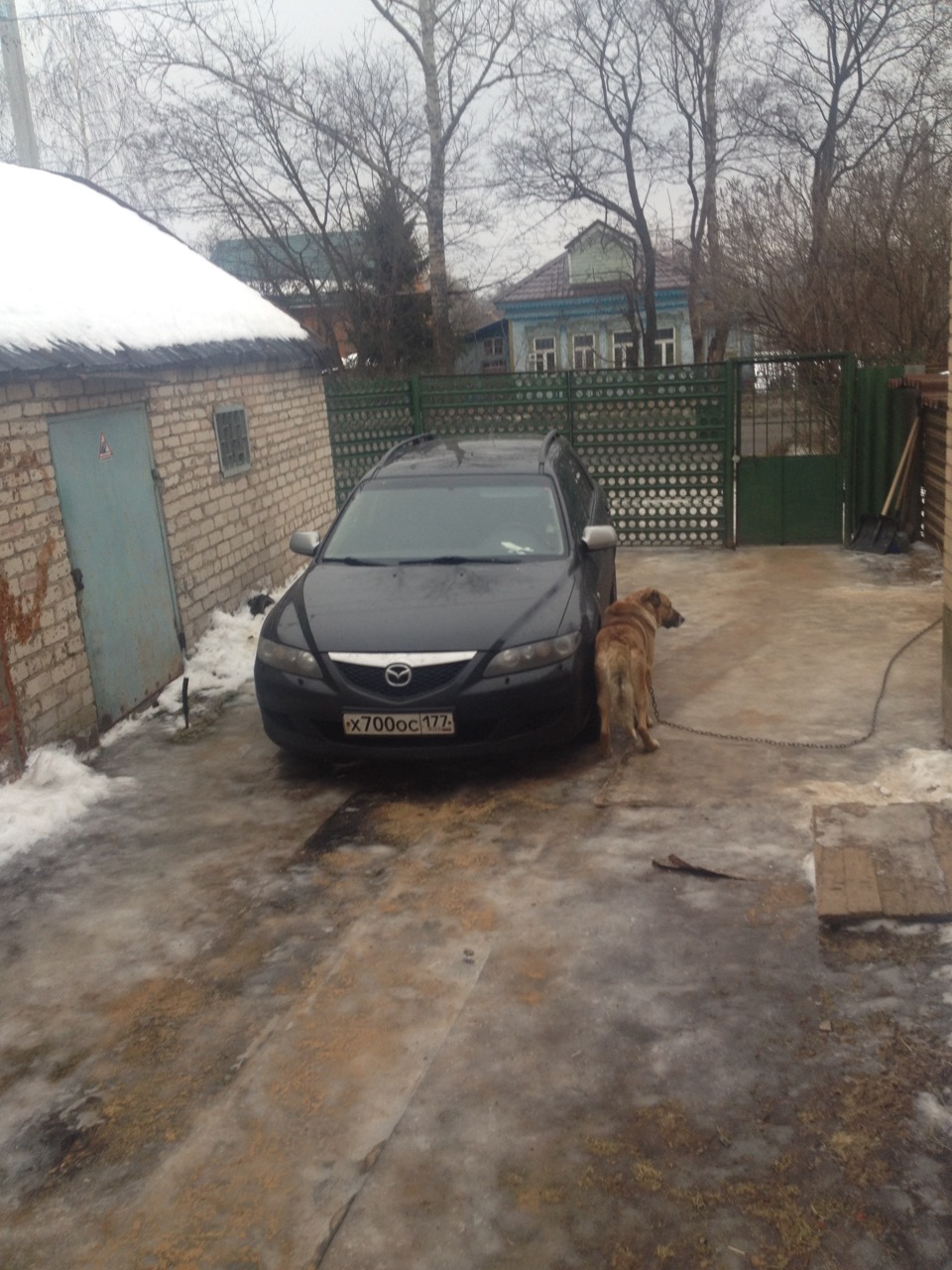 Ну и как все рады, и как пёс обнимает машку, он так часами может стоять)))) — Mazda 6 (1G) GG