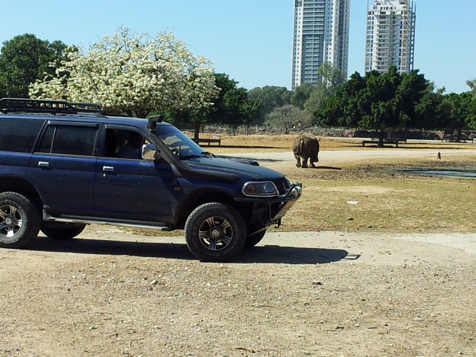 Фото в бортжурнале Mitsubishi Pajero Sport (1G)