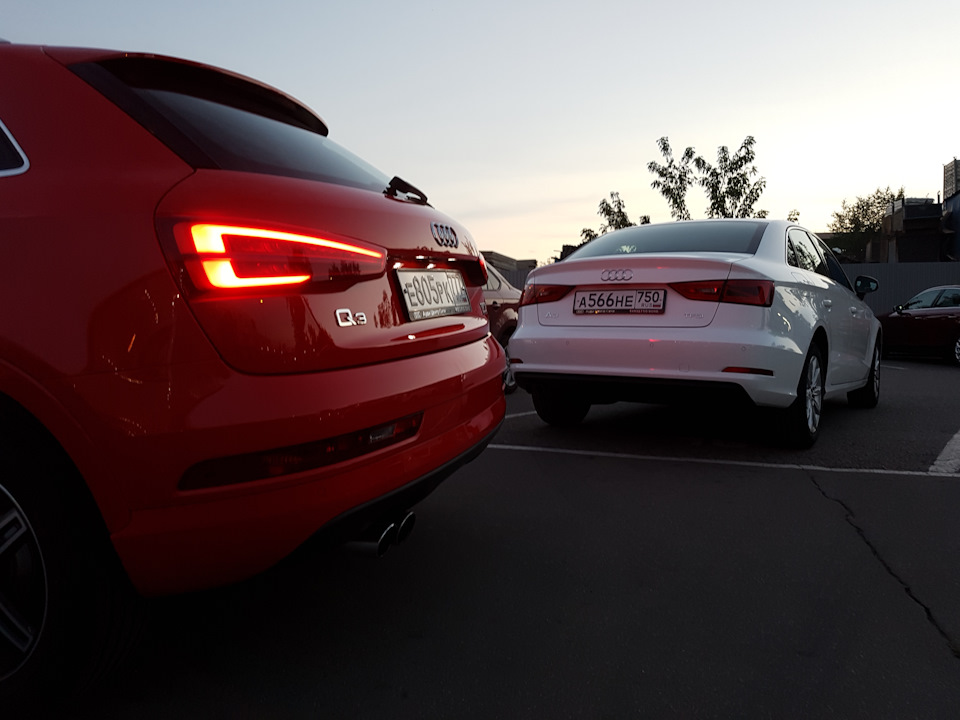 Надо было брать А3 + А1 — Audi Q3 (1G)