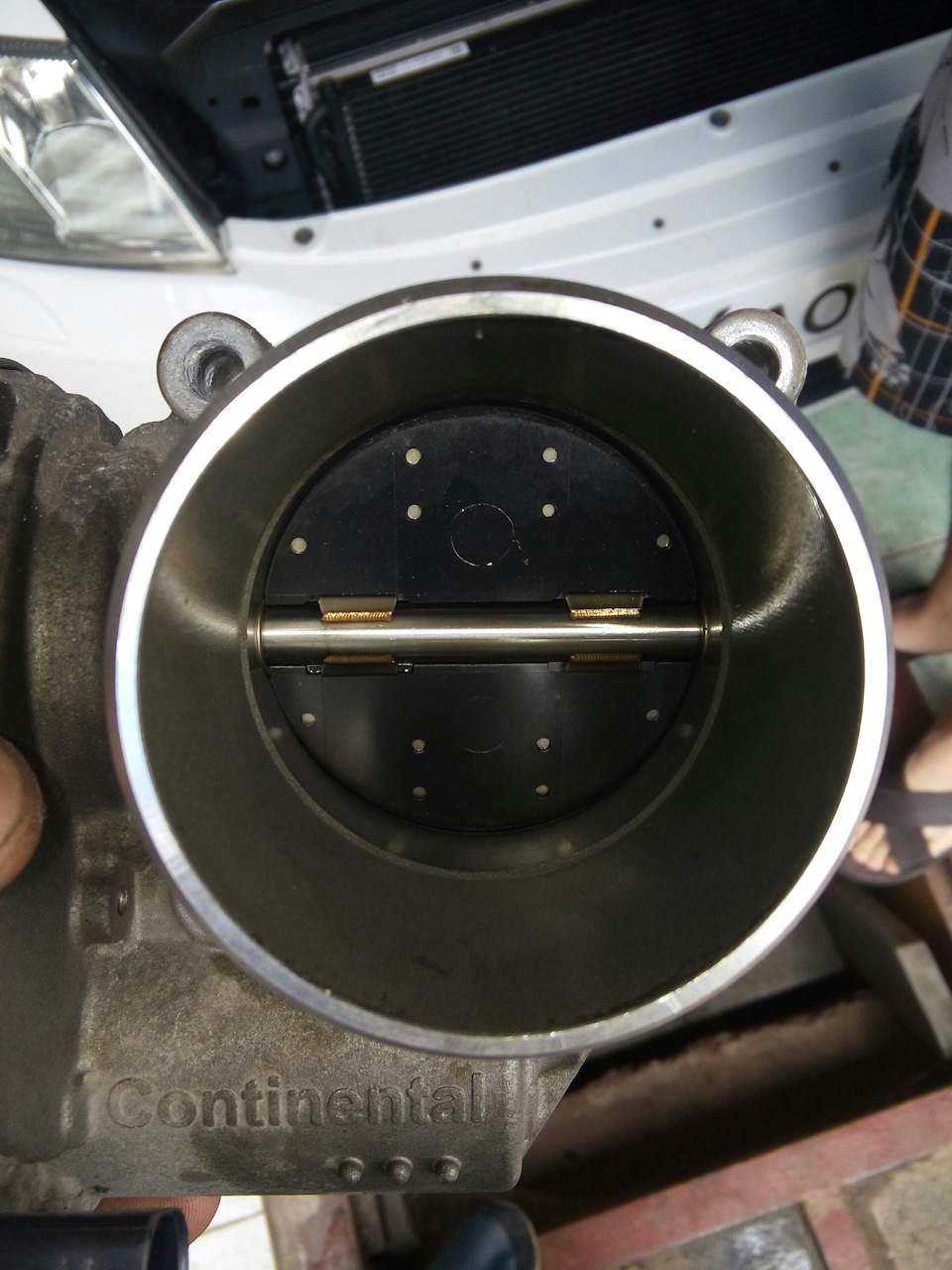 Фото в бортжурнале Skoda Octavia A5 Mk2