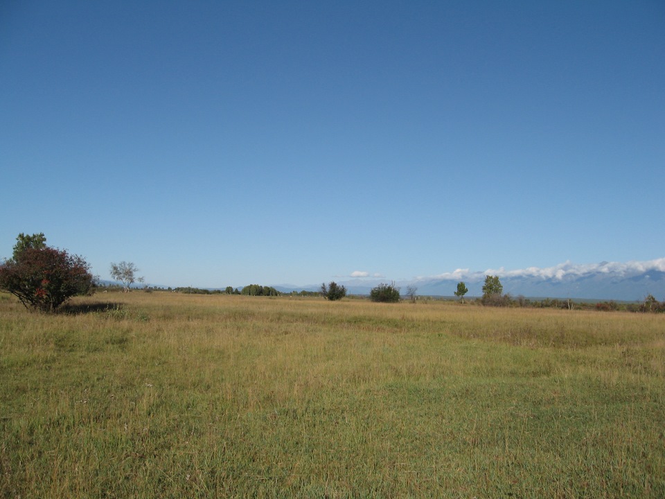Фото в бортжурнале ARO M461