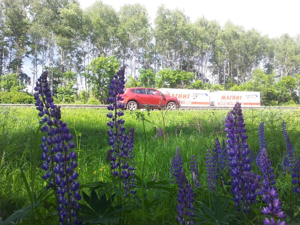 Спустя пару месяцев после ДТП ) — Nissan Qashqai (1G)